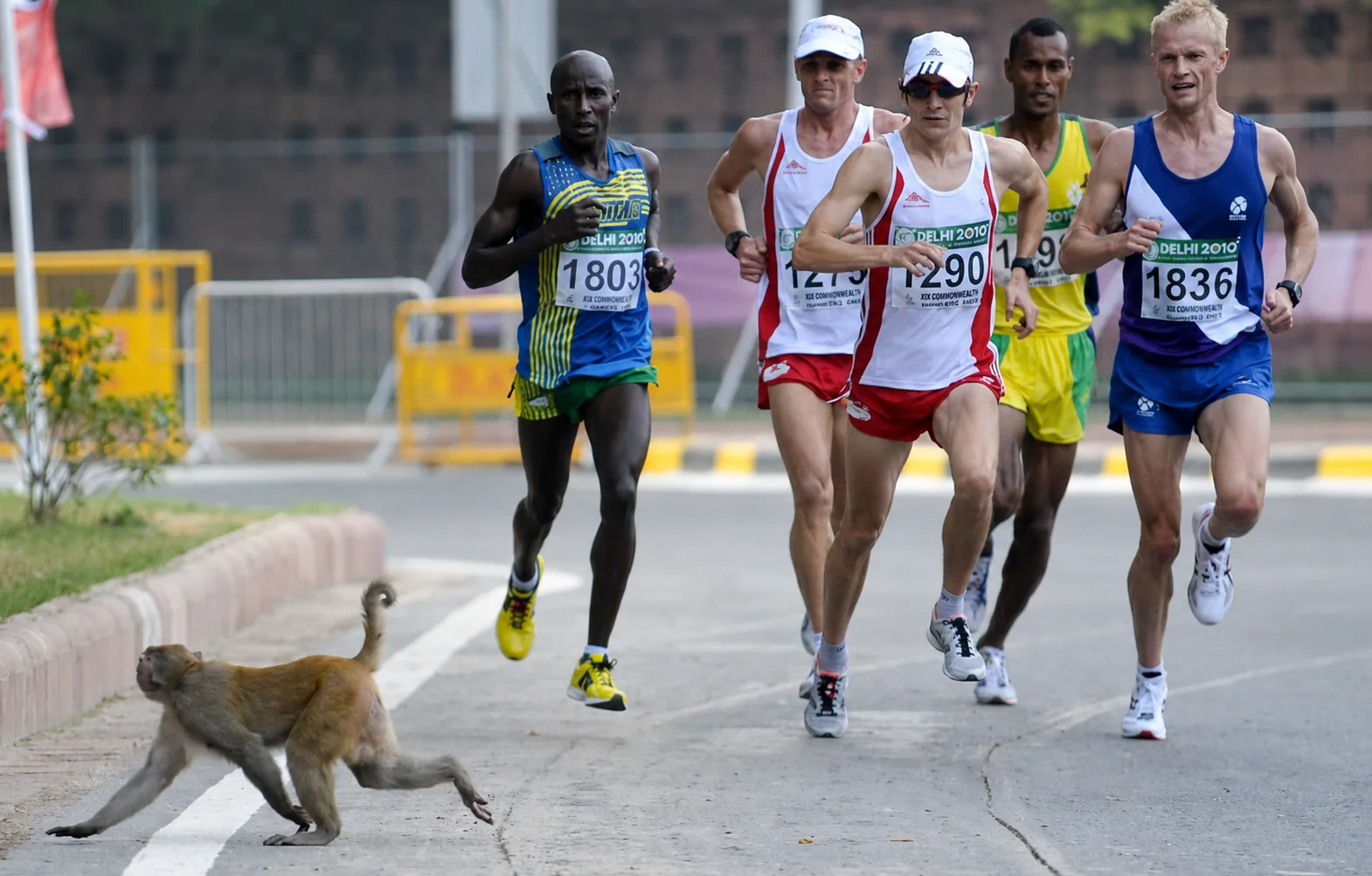 Martin racing in hot conditions during an international marathon